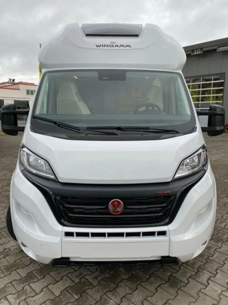 Fabelhafte Wingamm Oasi 540 Preis Ebenbild