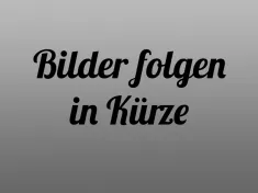 Bild 1 Fendt Bianco Activ 550 KMG