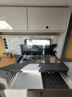Bild 9 Fendt Apero 495 SFB Aktionspreis