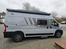 Fahrzeugbild Carado pro CV 600 Aufstelldach / Oktober 25 Verfügbar #7