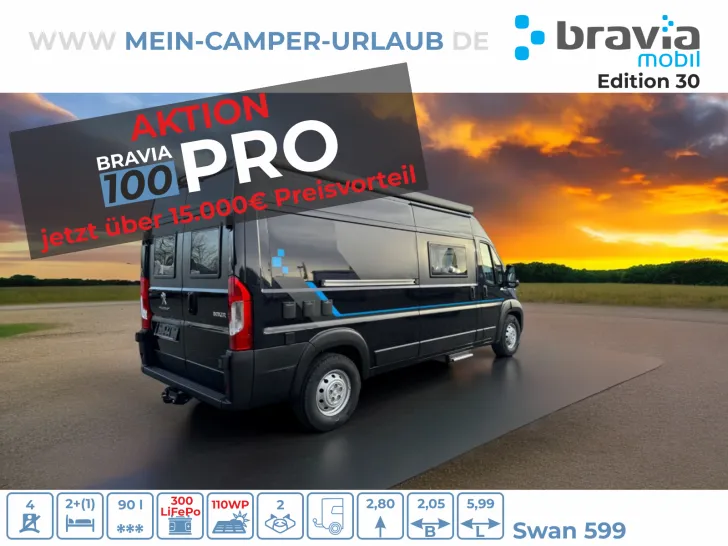 Fahrzeugbild Bravia Mobil Swan 599 #9