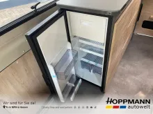 Fahrzeugbild Dethleffs Globetrail 600 DS Fiat #8