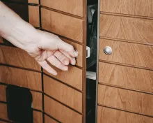 Fahrzeugbild VW California T6.1 #15