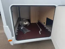 Fahrzeugbild Sunlight T 69LC Adventure Edition #21