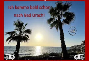 Bild T 338