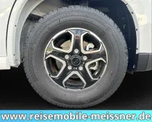 Fahrzeugbild Notin Progress TI Malaga JF #10