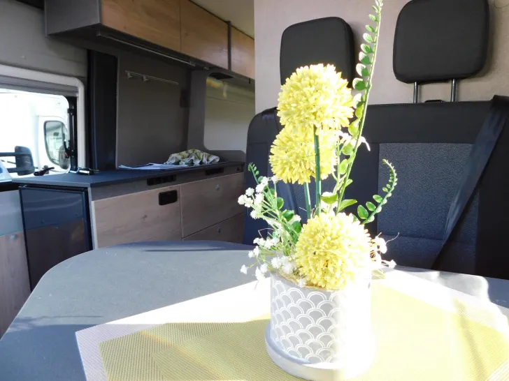 Fahrzeugbild Dethleffs Globetrail Active 640 ES Combi4E + 180/Automatik #10