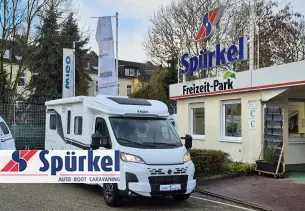 Bild L!VE TI<br/>650 MF Platinum Selecti ...