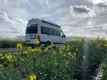 Fahrzeugbild VW Grand California 600 #2