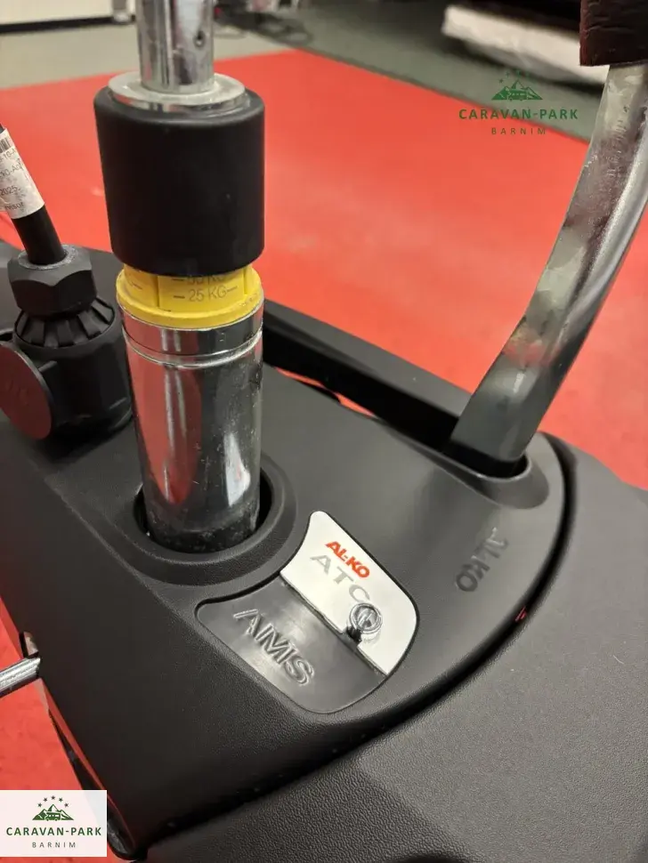 Fahrzeugbild Dethleffs Nomad 520 ELT #21