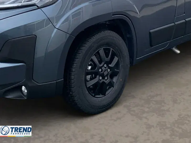 Fahrzeugbild Dethleffs Globetrail 600 DS Fiat #6