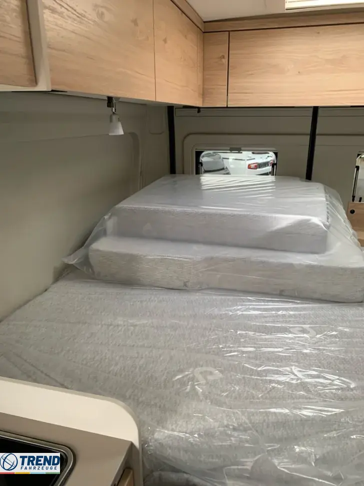 Fahrzeugbild Dethleffs Globetrail 600 DS Fiat #17