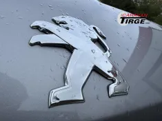 Bild 4 Dethleffs Globetrail 640 S Peugeot AHK,Solar,Radio,RFK