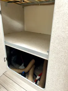 Fahrzeugbild Forster T 699 EB 140 PS * Automatik * 3,5 t #17