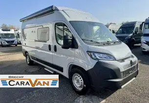 Bild Papillon<br/>PC 6.0