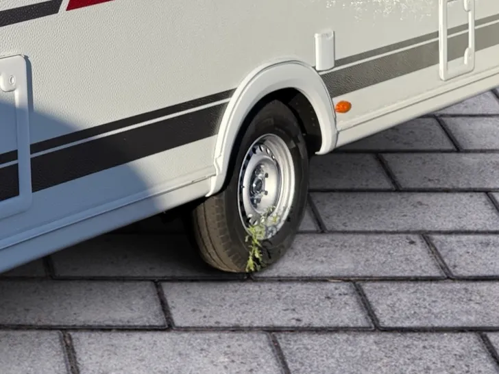 Fahrzeugbild Dethleffs c-go 495 QSK #6