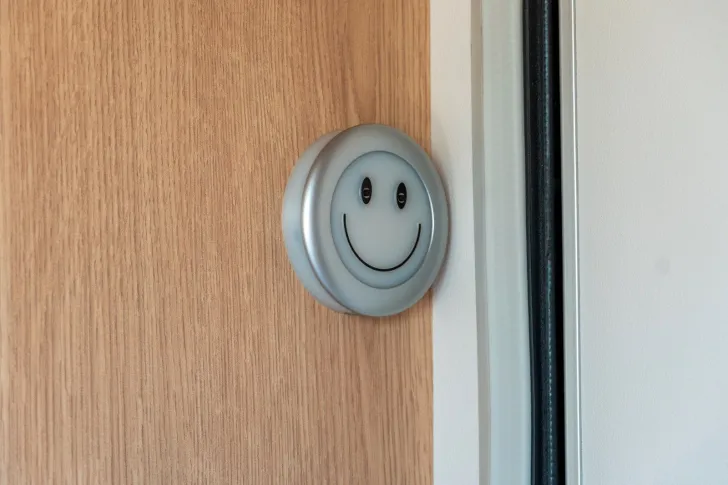 Fahrzeugbild LMC Style 493 K 2026*70 Jahre Sondermodell*Dusch P.* #9