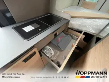 Fahrzeugbild Dethleffs Globetrail Active 600 DS Fiat #12