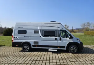 Bild D-Line Roadcruiser Revolution