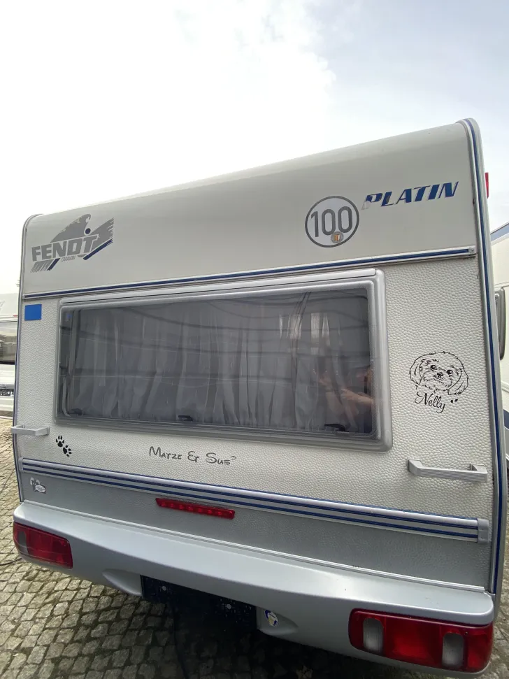 Fahrzeugbild Fendt Platin 495 TF #12