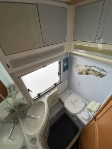 Fahrzeugbild Fendt Platin 495 TF #13