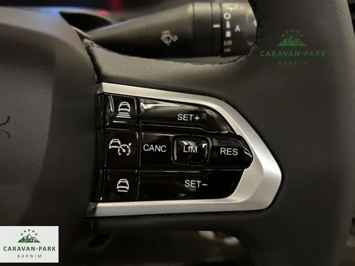 Fahrzeugbild Dethleffs Globetrail 640 ES Fiat #9