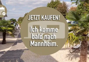 Bild Summit 540