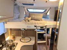 Fahrzeugbild Carado T 338 *Paket pro +*Solar*Lithium* #23