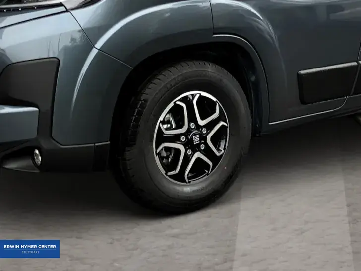 Fahrzeugbild Dethleffs Globetrail 600 ER Fiat #6
