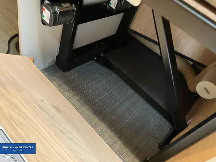Fahrzeugbild Dethleffs Globetrail 600 ER Fiat #29