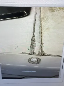 Fahrzeugbild Bürstner Nexxo 728 *nur an Export/Gewerbe* #30