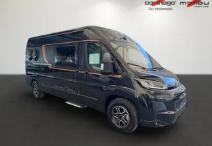 Bild Van Diversity 600 DB K charming cou ...