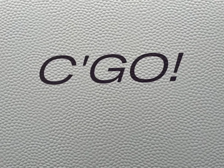 Fahrzeugbild Dethleffs c-go 495 FR Sicherheitspaket! #3