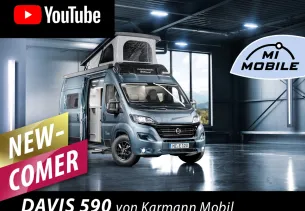 Bild Davis 595
