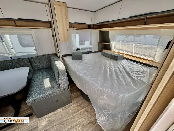 Fahrzeugbild Fendt Apero Activ 560 SKM Frisch eingetroffen! #3
