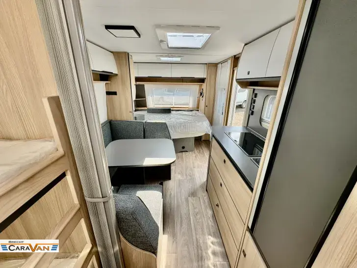Fahrzeugbild Fendt Apero Activ 560 SKM Frisch eingetroffen! #14