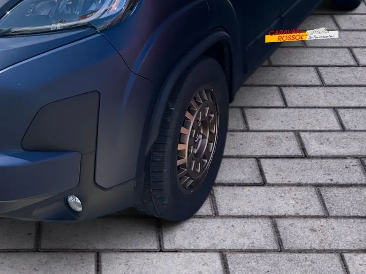 Fahrzeugbild Dethleffs Globetrail 75K 600 ER Fiat #6