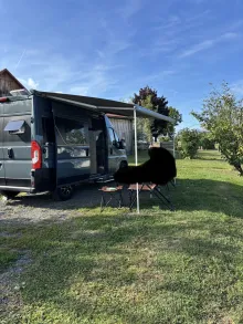 Fahrzeugbild Knaus BoxLife Pro 540 ROAD 60 Years Kein Mietfahrzeug Navigationsg #5