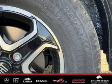 Fahrzeugbild Dethleffs Globetrail 600 DS Fiat 95er Paket SCANDI LED #33