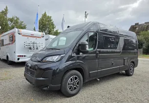 Bild BoxLife 600 MQ Platinum Selection