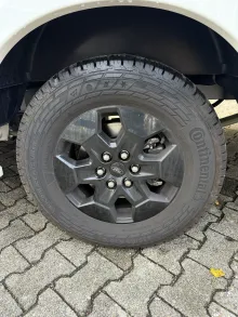 Fahrzeugbild Forster A 699 DVB 165 PS, Automatik #18